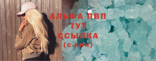 молекула духа Арсеньев