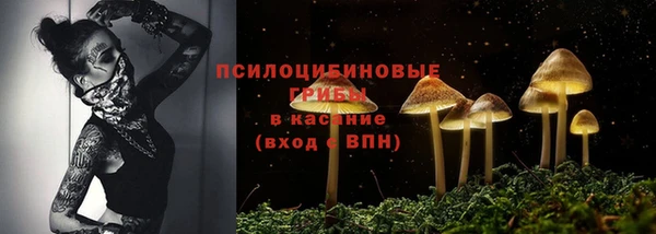 PSILOCYBIN Армянск