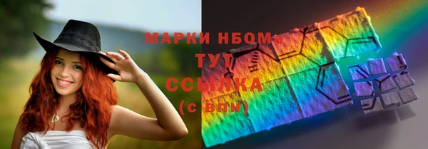 молекула духа Арсеньев