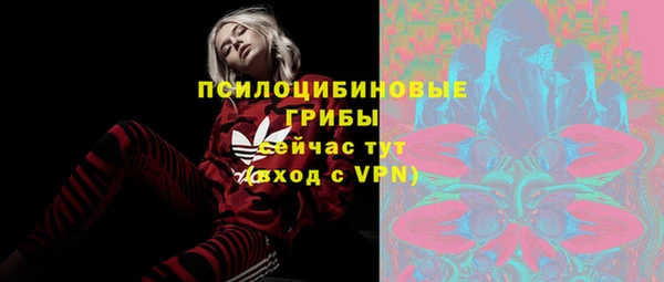PSILOCYBIN Армянск