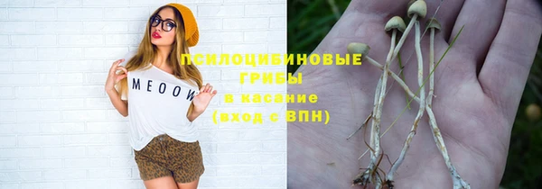 молекула духа Арсеньев