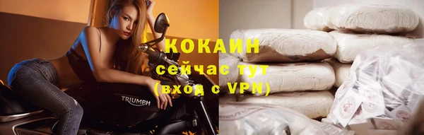 молекула духа Арсеньев