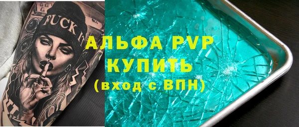 молекула духа Арсеньев