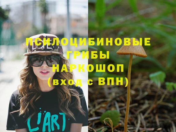 молекула духа Арсеньев