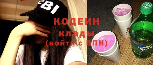 молекула духа Арсеньев