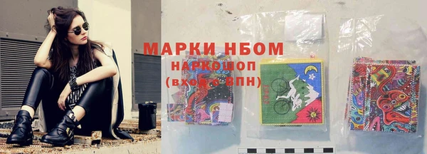молекула духа Арсеньев