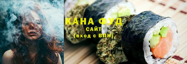 молекула духа Арсеньев