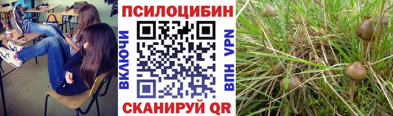 наркота Луза Галлюциногенные грибы мицелий